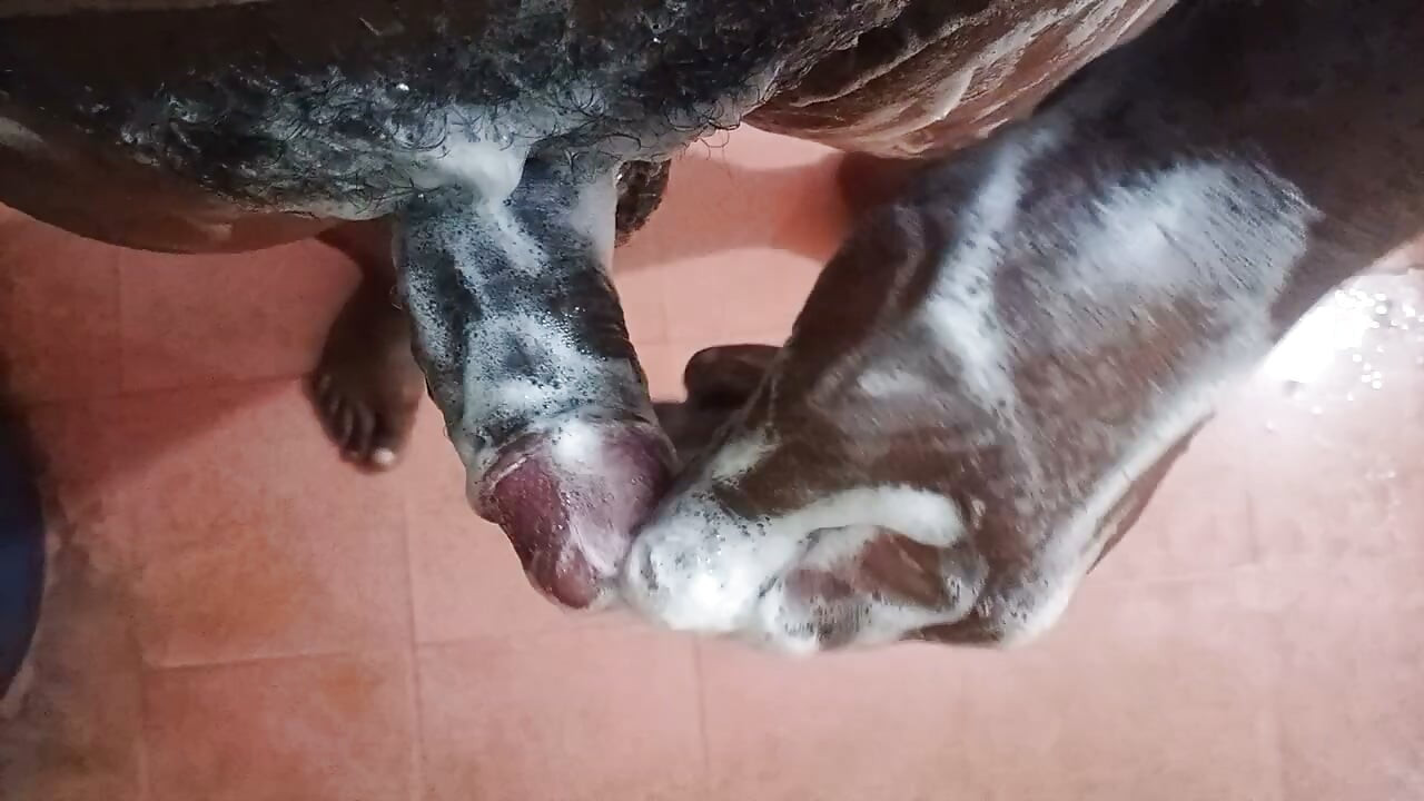My pines pathing