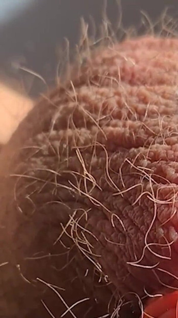 Unforgettable moment from "Thick, fat, hard banded cock comes without squirting during horny banding session"