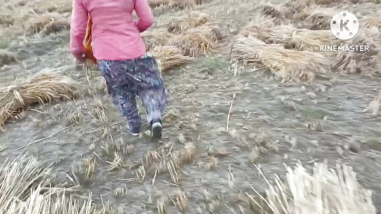 Gehu kat ti huyi female majdoor ki choot chudayi kari doggi style me