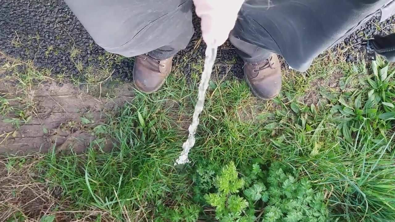 Pissing by the roadside