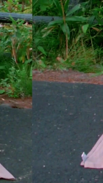 Key moment from "No-pan Omanko Maid Pai-chan Outdoor"