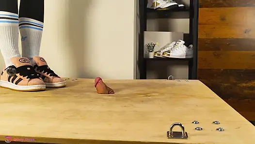 Adidas Campus Cock Trampling I Lady Thaya