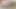 June 2025 ClubSweethearts Updates Compilation