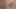 興奮した豚たちに抱かれる可愛くてセクシーな女の子