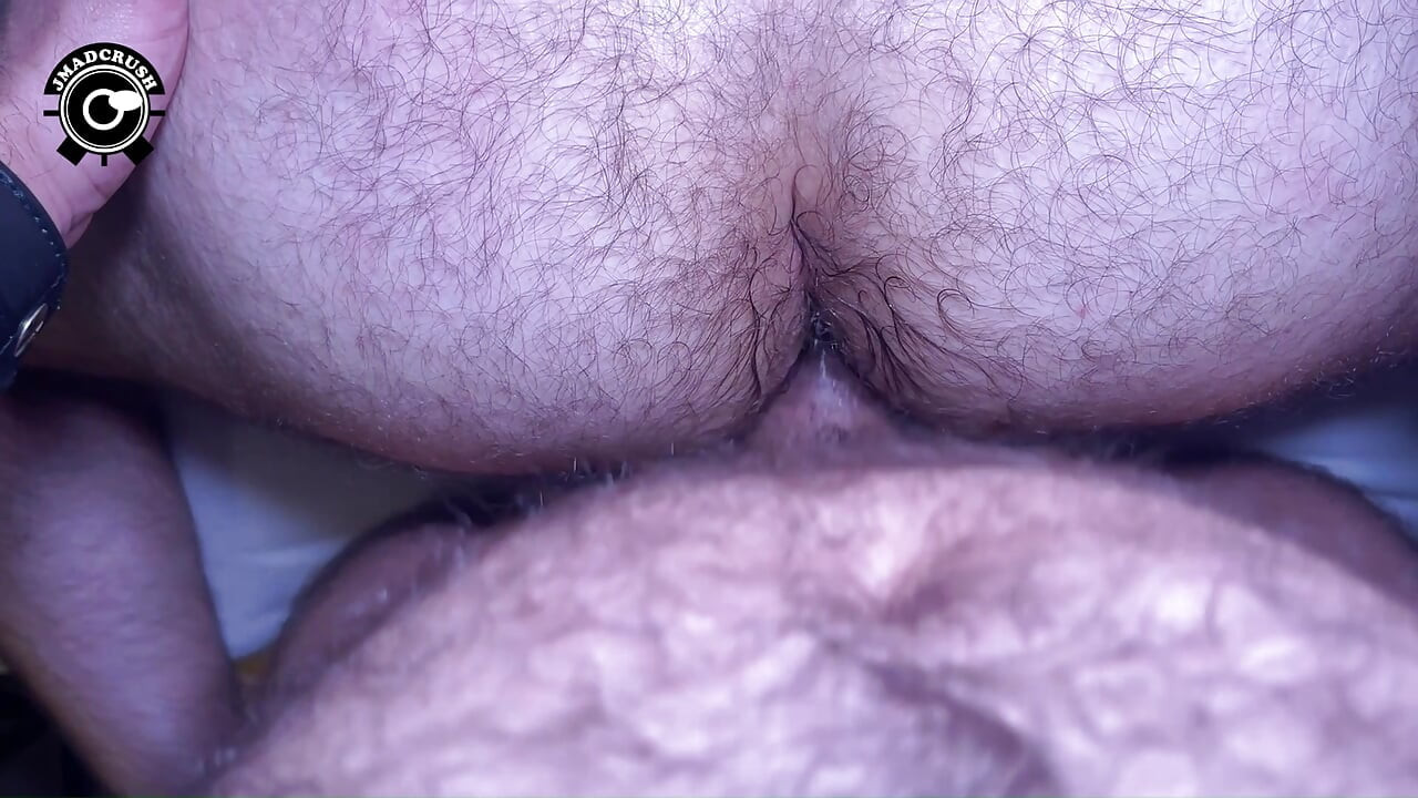 Two Pigs in Leather - 02