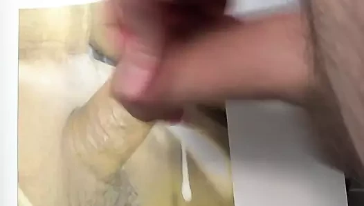 Wienfluss'a haraç