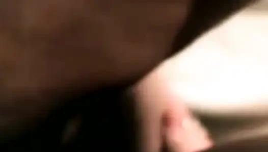 Jade Pussycat Classic Action