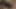Sexy Dirty Hairy PussyFuck