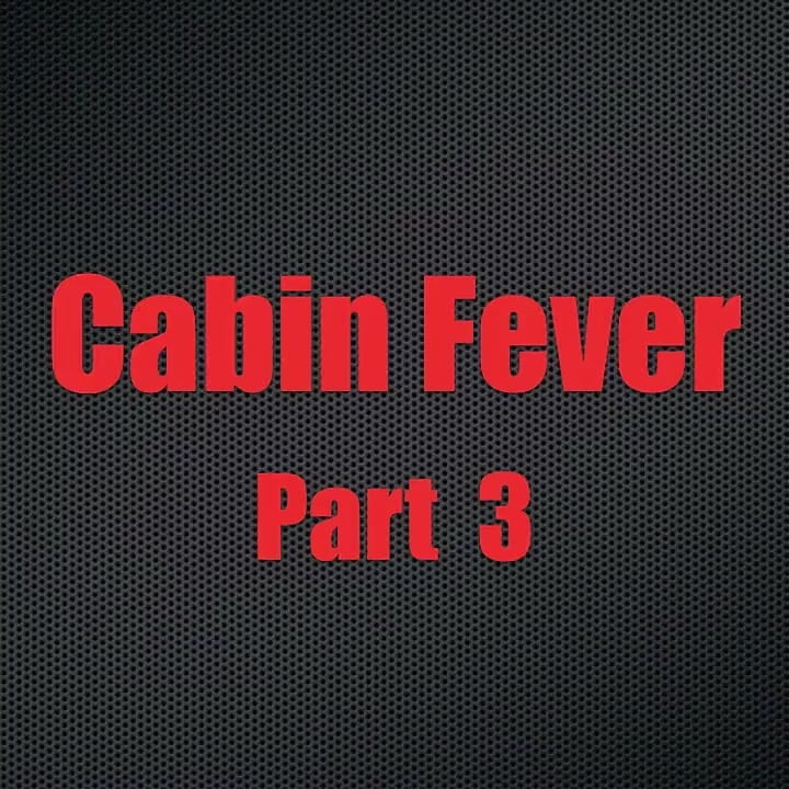 Cabin Fever - Chapter 3
