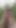 Stroking My Huge Cock On the Nature Trail - Tim Explicit