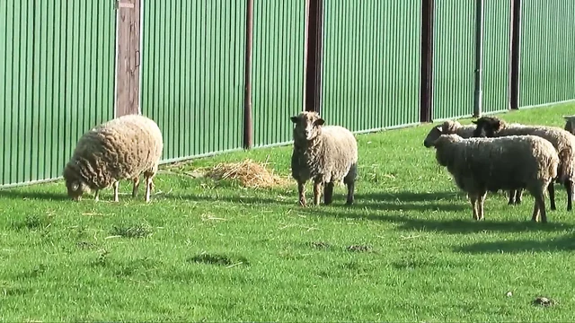 Hot sex in the German countryside 2 - Episode 5
