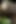 I Watch My Stepmom Masturbate Her Pussy in the Park Before Squirting