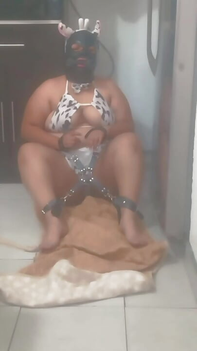 Vaquita punished for being