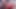 Sissy Charlotte POV deepthroat on Lucys big uncut cock