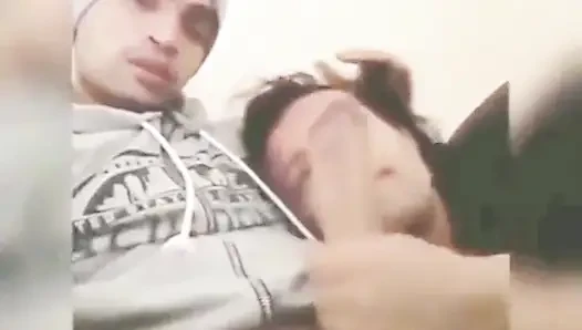The Girl Knows How to Suck a Big Cock