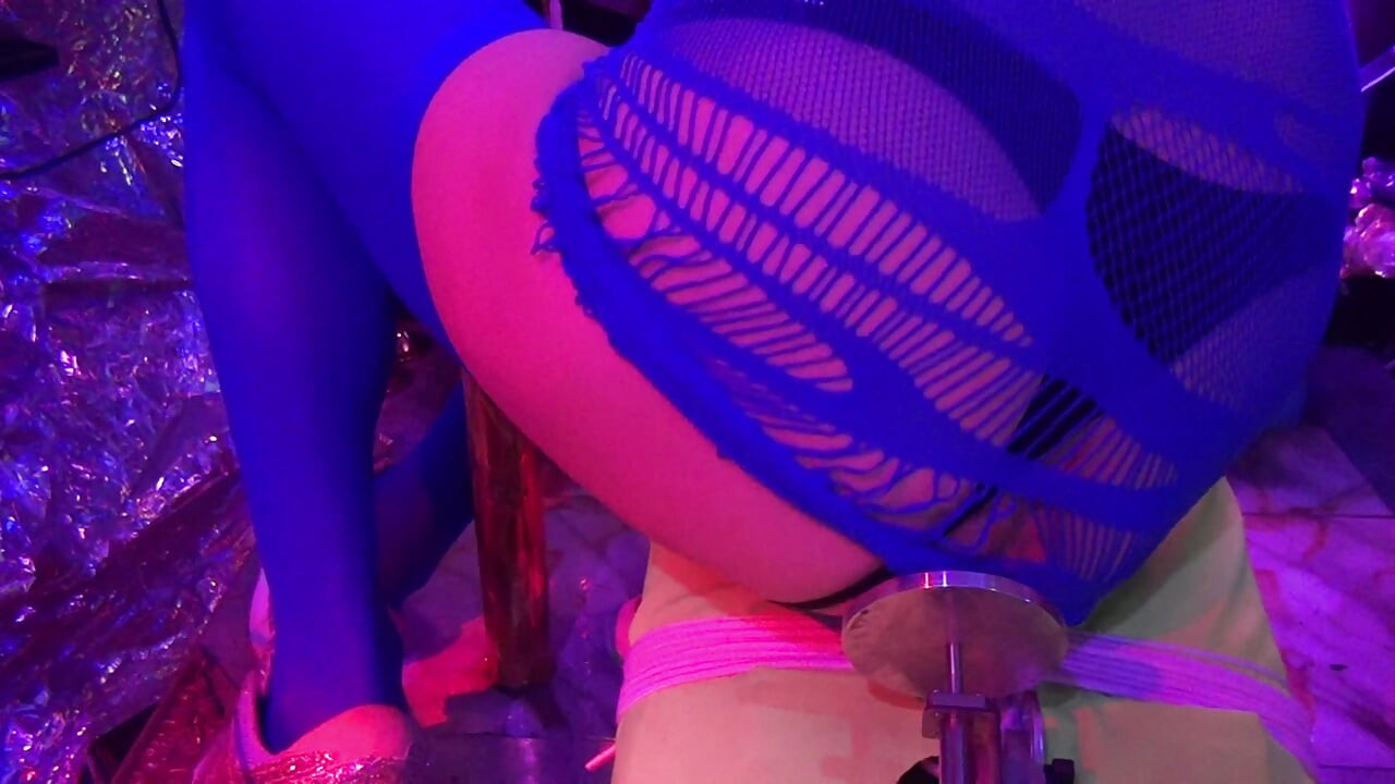 Bunda grátis 10