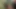 Evli Devar ile Güzel Yenge Sert Seks! gerçeklik Seks