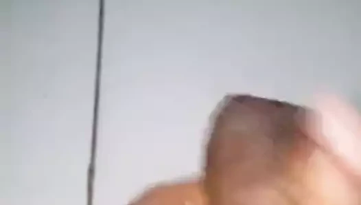 bir kedi sağladım olmalı