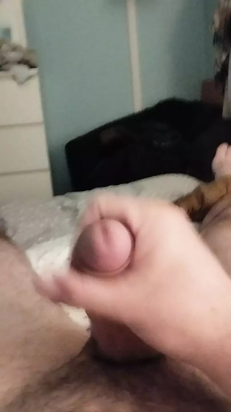A little personal treat