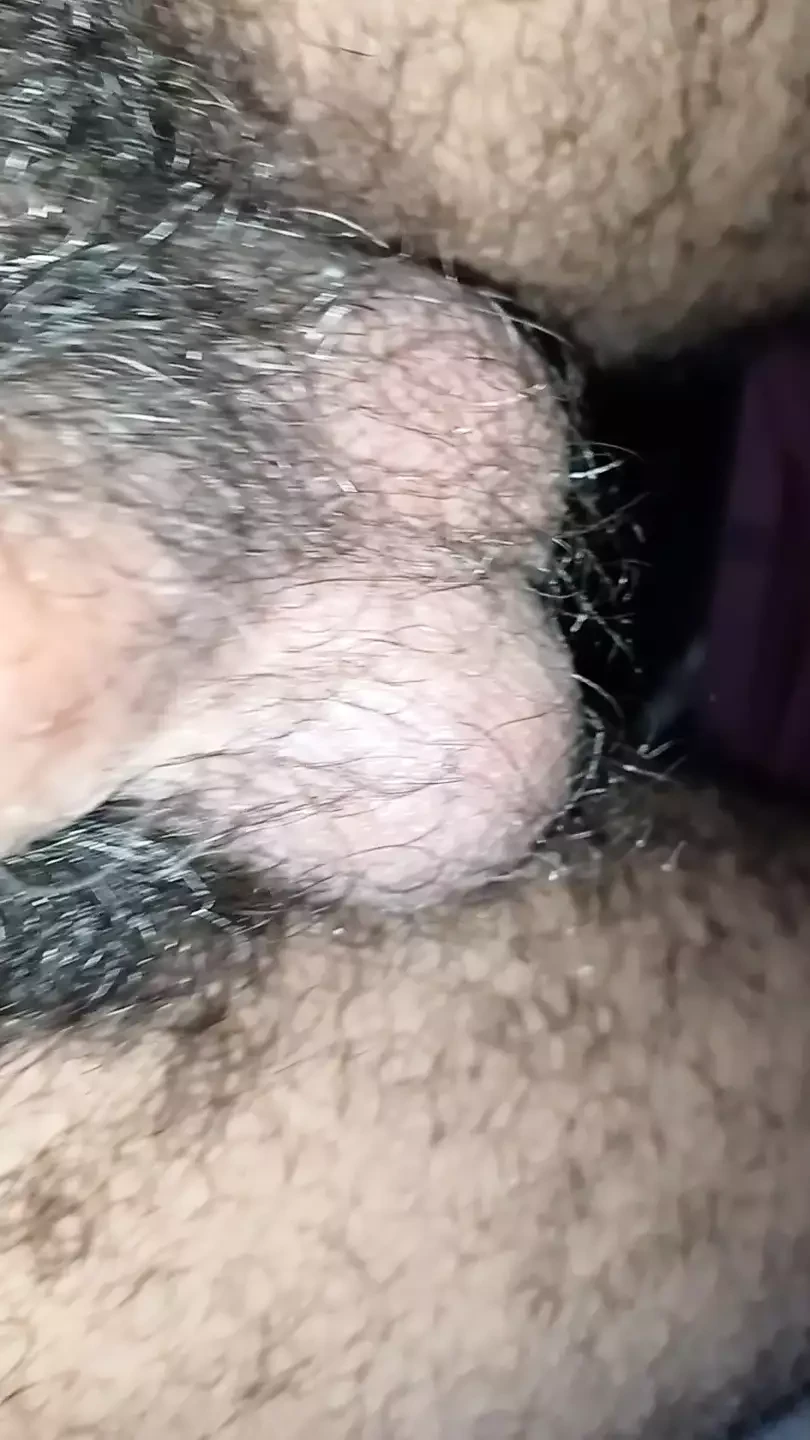 印度鸡巴