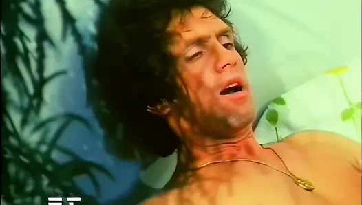 Hairy Cocks and Pussies