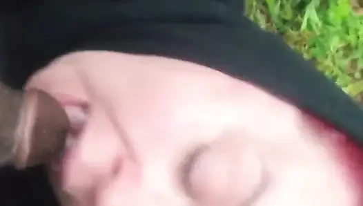 Plowing by Tractor in Field