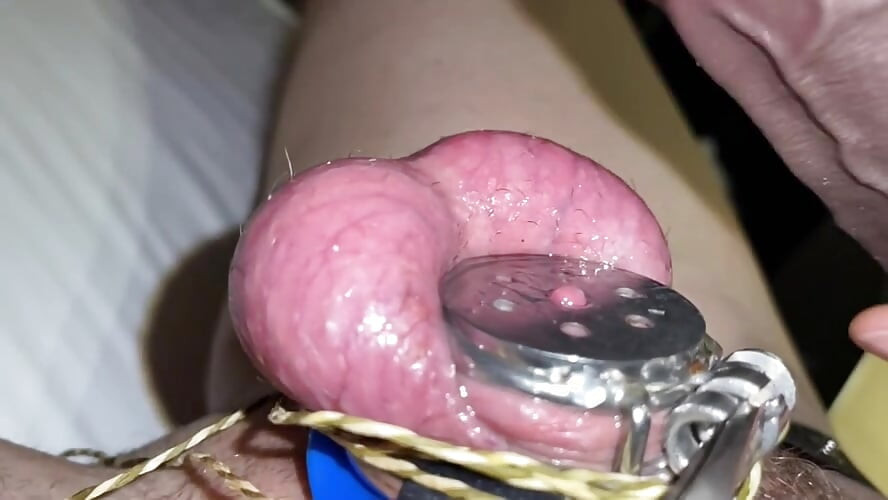 Sedy Ladyboy does a Thousand Ball Plappies while gooning for the BNWO
