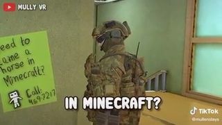 Minecraft evcilleştirme