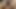 TROROSE DESI INDIAN BHABHI NEW SEX VIDEO