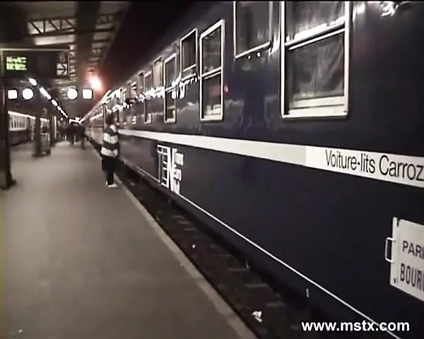 Sophia in treno