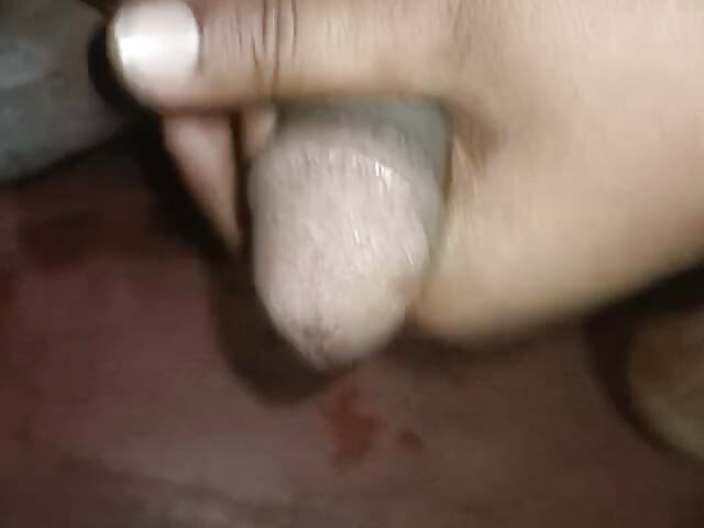 New Xvideo