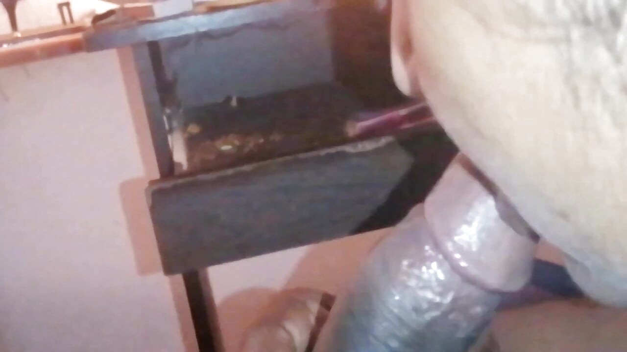 Aku baru datang ke sri lanka untuk mengunjungi perantsku, mereka punya pembantu baru yang pengen ngentot aku habis-habisan