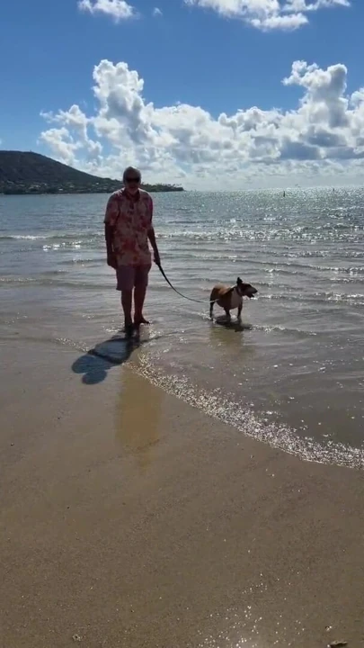 Paiko Fishpond, East Oahu, Hawaii | Clip 2