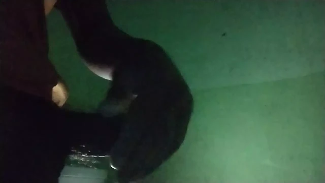 Salsal