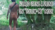 Pratinjau video