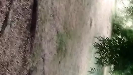 Pipi au parc