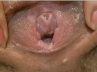 Pussy Show
