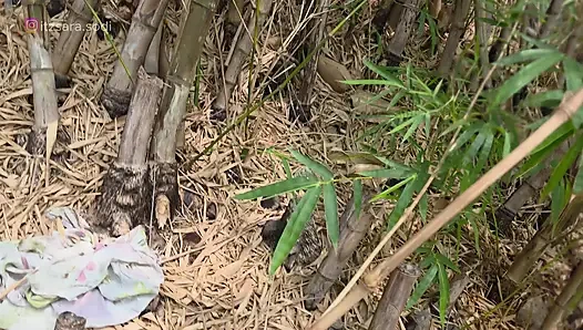 Ich traf sie in den bergen und aus nirgends hatten wir sex in meinem auto