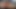 ソフィアクッチの肛門物語 - DVDリー