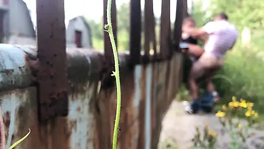 Wie sehr ich den Sommer liebe, weil ich die Gelegenheit habe, im Gebüsch zu ficken