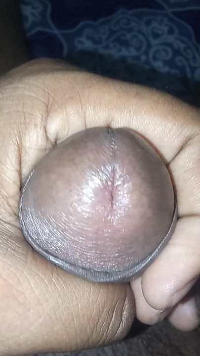 My Cute Dick Head.