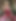 4. アドベントスペシャル🎁

50%の無料クレジット
ビデオバウチャー1枚
4週間VIPです

Kate-Monroe.De
