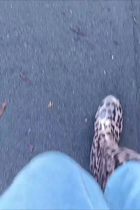 Long Walk in Gumboots by Kinkylyrical