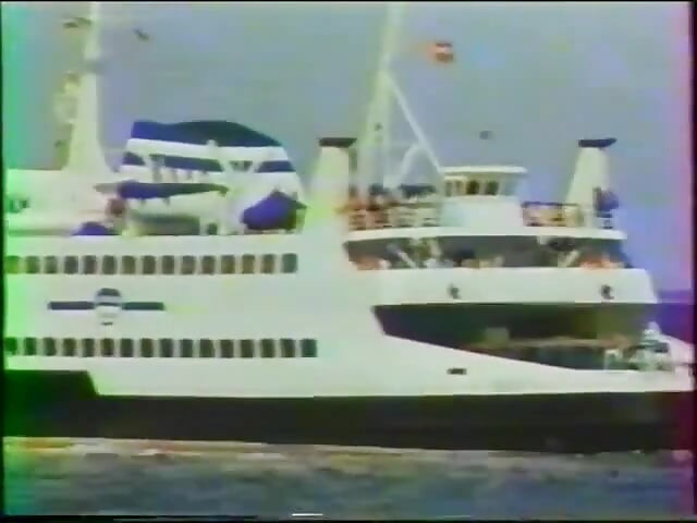Enquête Sur Le Vice (1977)