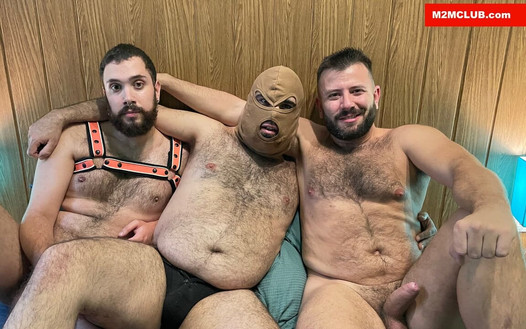 Pregled videozapisa
