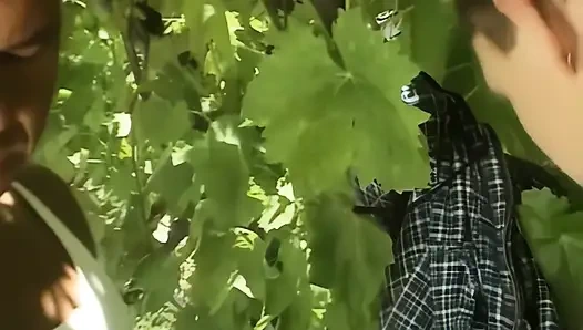 Пышногрудая блондинка, трахаемая двумя большими членами