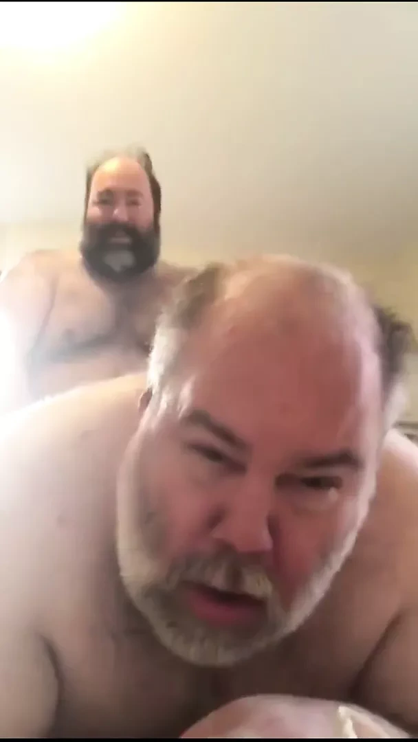 Two bears have a fun afternoon