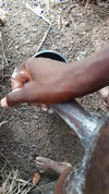 Pratinjau video