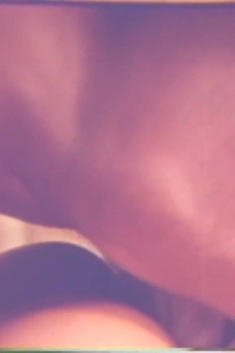 Eric Edwards Wild Fucker