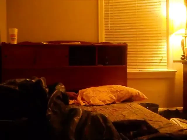 Wife Masturbating Inside Night Bed Near Husband